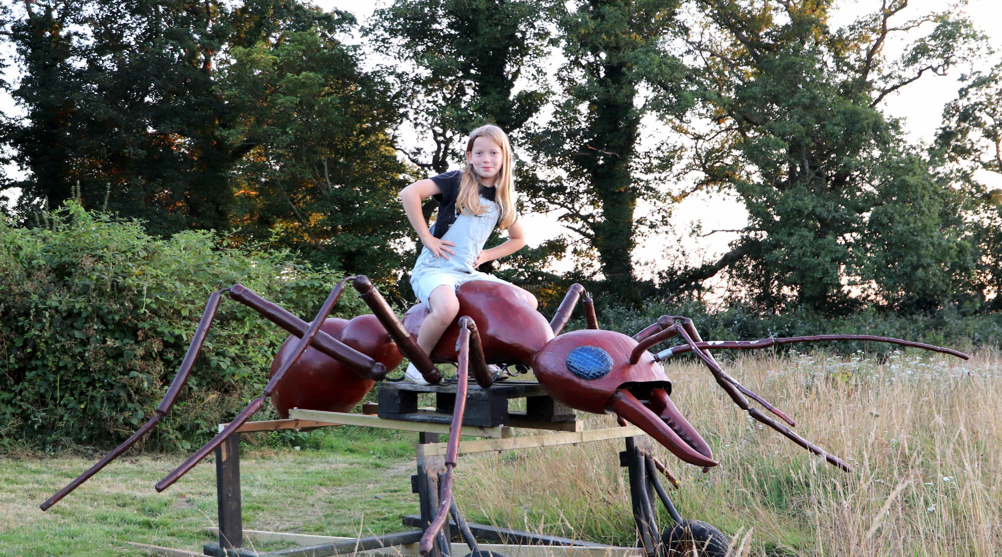 Miss Ocean helped to build this cart in August 2024 for Anthony, the world's largest insect.